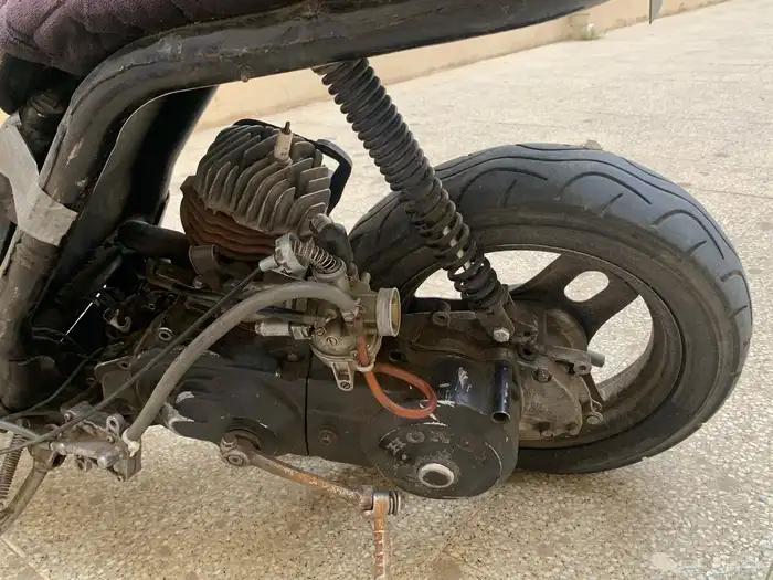 دباب بطه للبيع 5