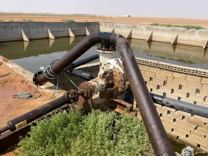 دفعة معدة جرعة 0
