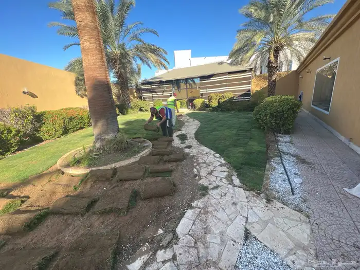 نجيله عشب طبيعي و زراعة وحدائق 5