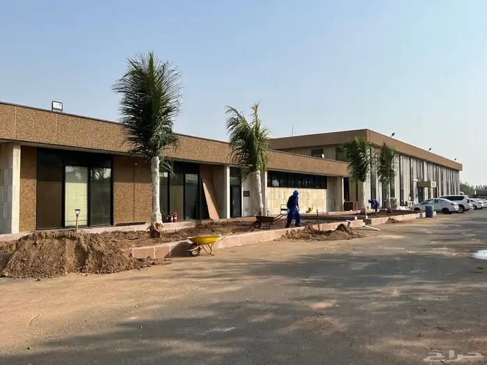 نجيله عشب طبيعي و زراعة وحدائق 29