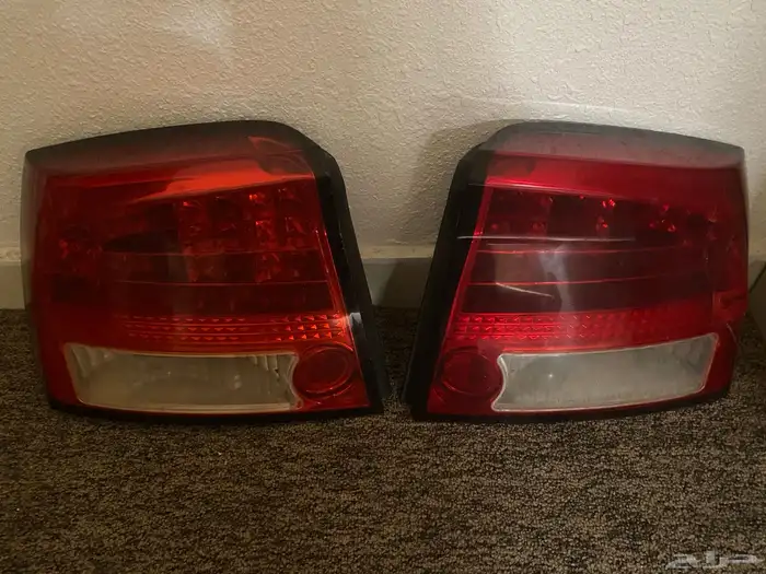 الإسطبات 2دود  تشاجر من 2006 إلي 2010 0