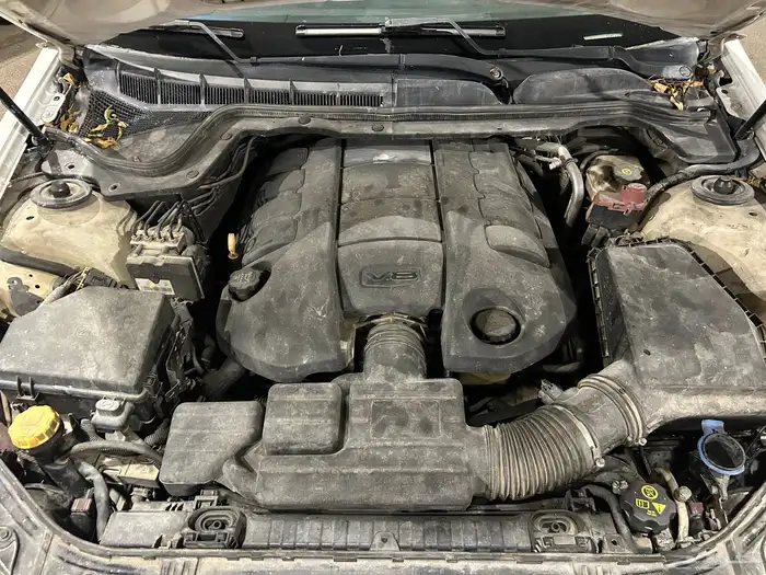 كابرس 2011 LTZ 14