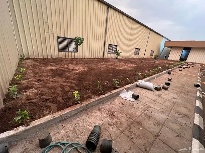 نجيله عشب طبيعي و زراعة وحدائق 31