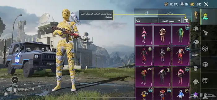 حساب ببجي للبيع 8