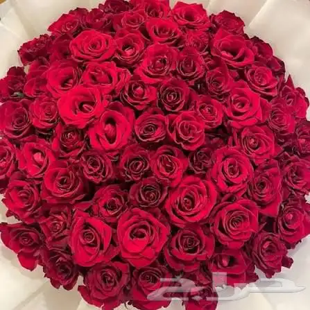 ورد حسب الطلب بسعر طيب والي ماعنده ويبغاني اساعده يبشر 3