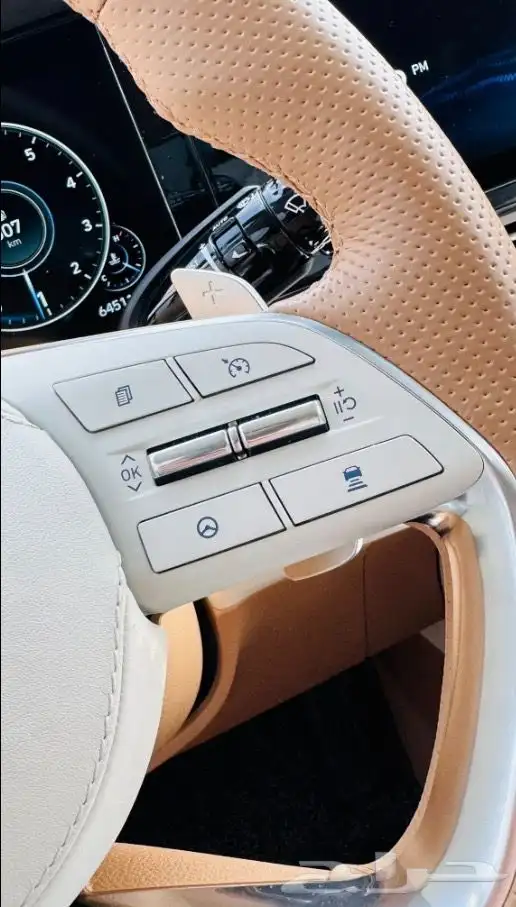 هيونداي ازيرا 2020 حالة استثنائية 13