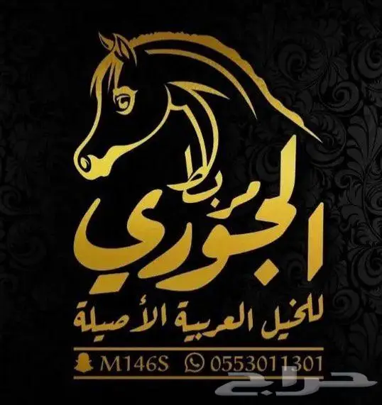 مربط الجوري للخيل العربيه الاصليله 0