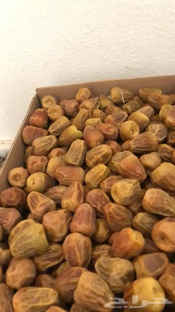 تمر سكري جالكسي ومفتل ورطب ا( من المزرعة مباشرة) 1
