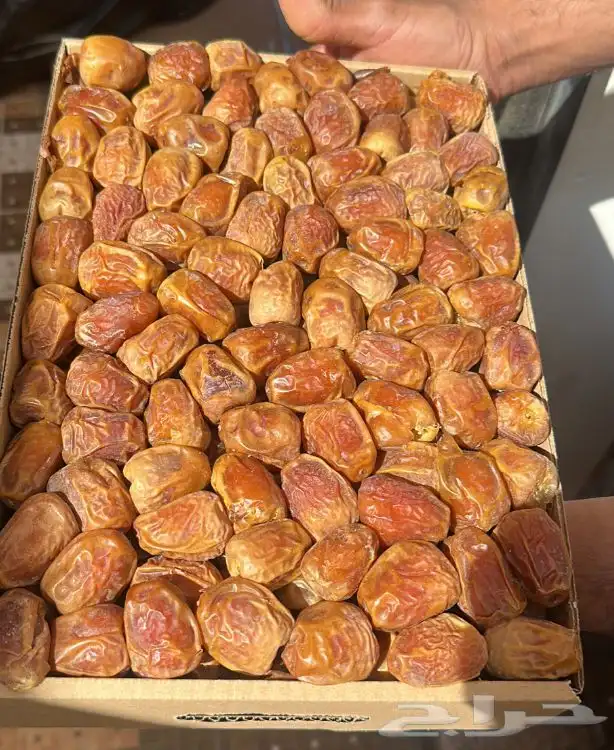 تمر سكري مفتل البيع جمله 0