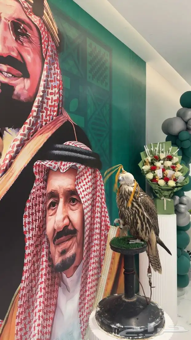 صقر صقور للمناسبات والاحتفالا 0
