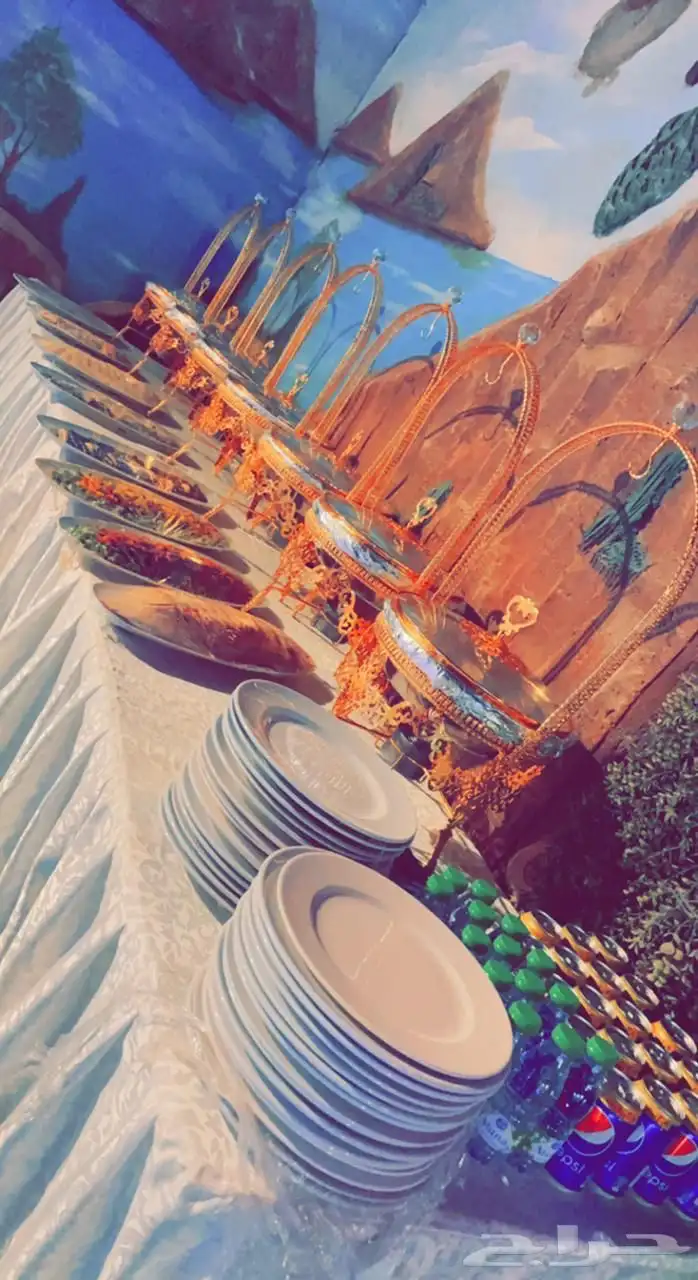 بوفيهات وطبخ منزلي 1