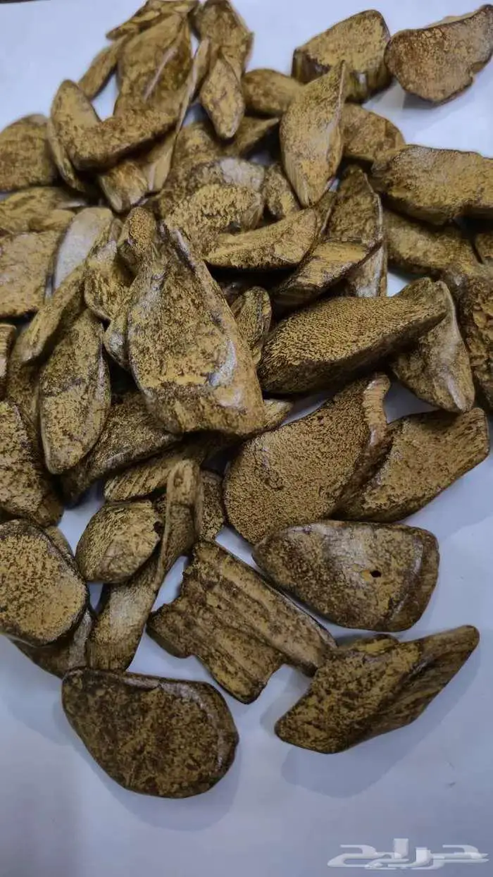 عروض جملة التجار والمتاجر 0