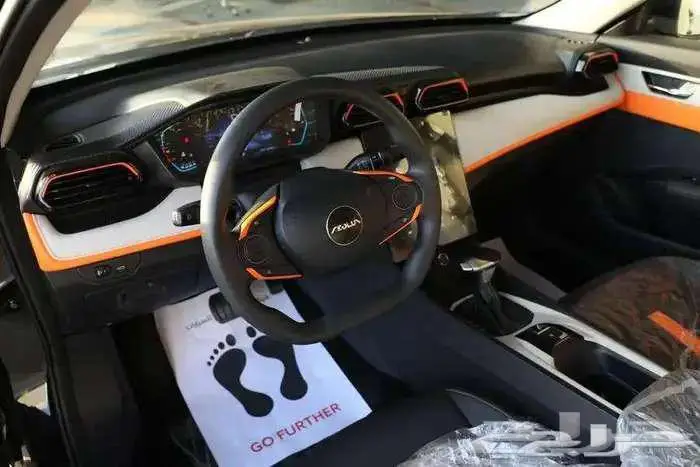 دونج فينج شاين 2025 عرض مكسر السوق للكاش 11