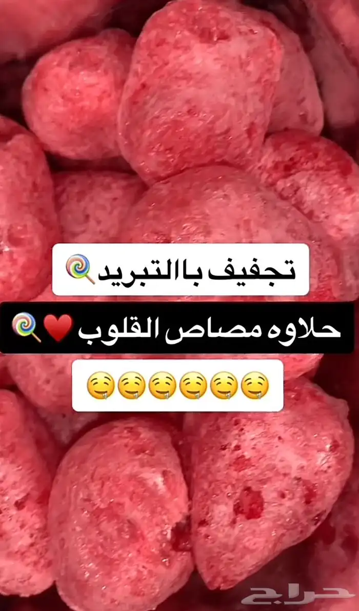 جهاز تجفيف باالتبريد 15