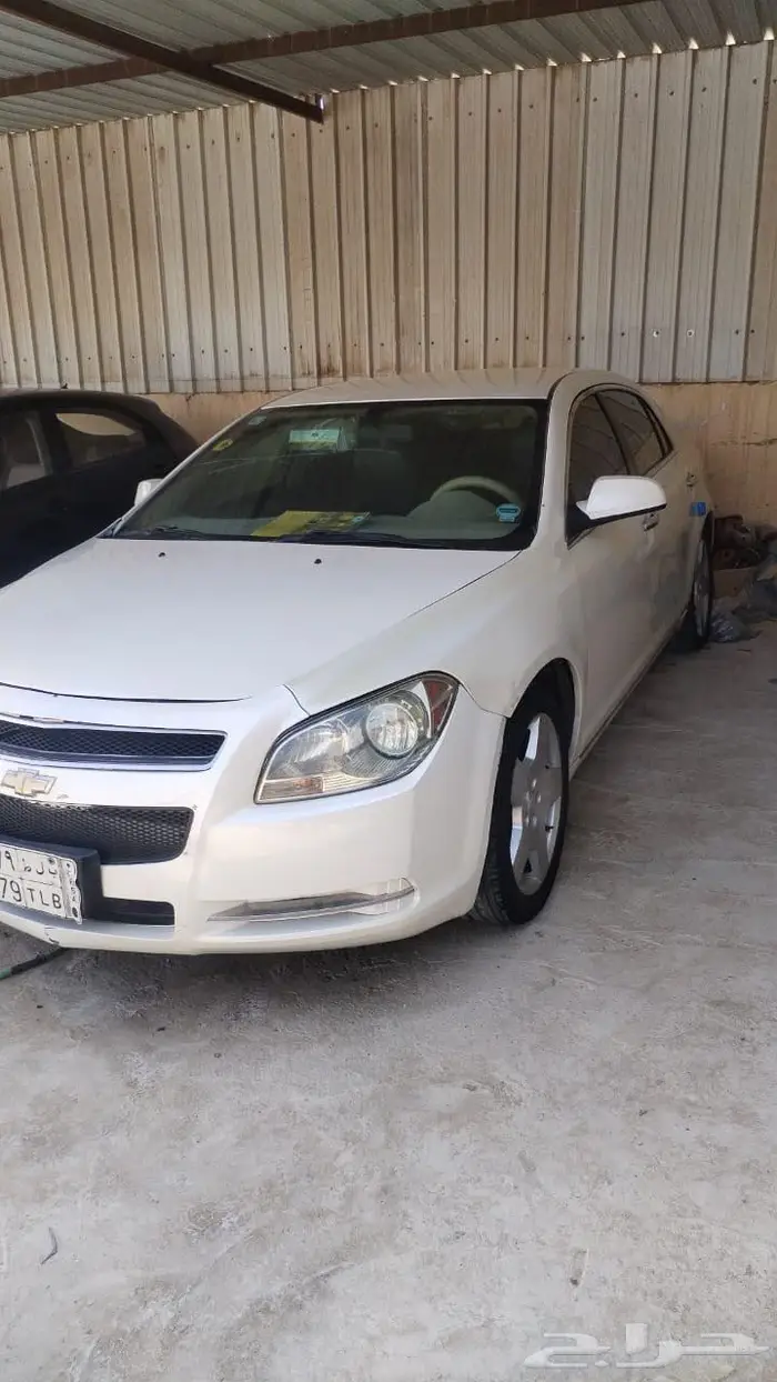 شفر ماليبو 1