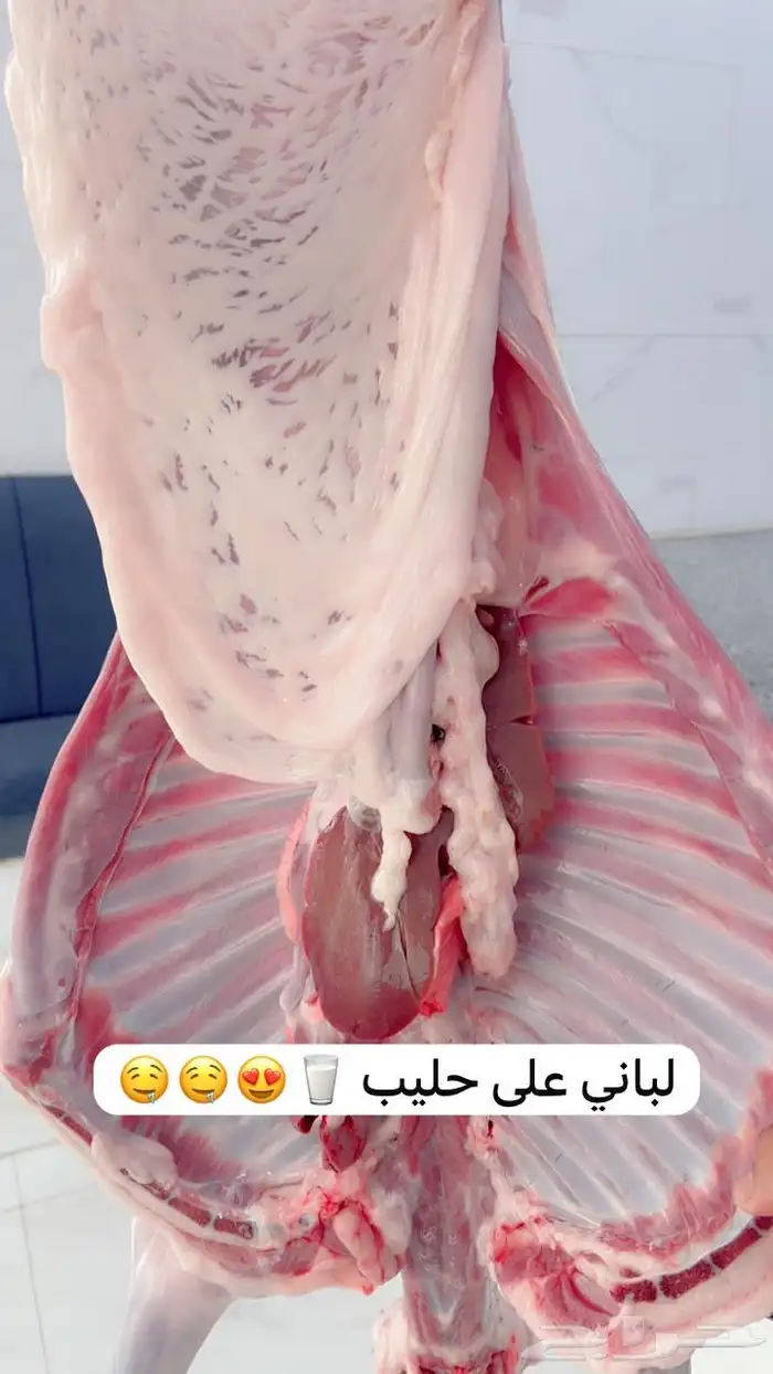 ملحمة ابو فيصل 0