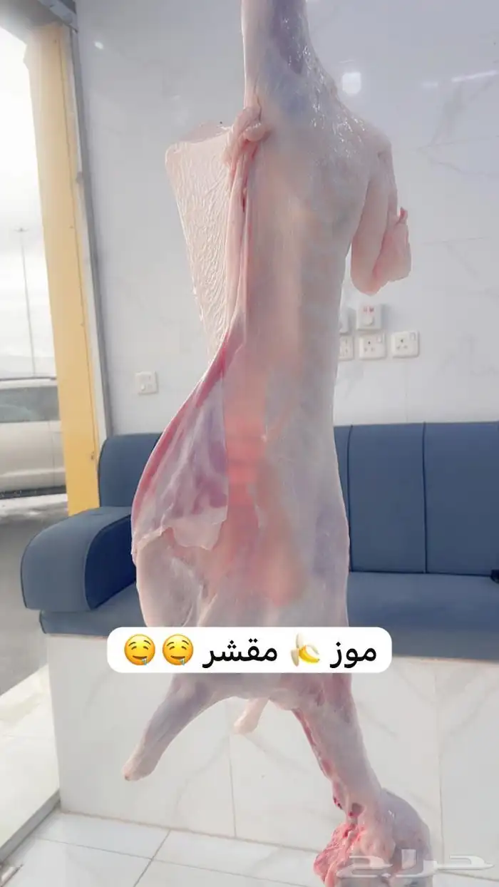 ملحمة ابو فيصل 1