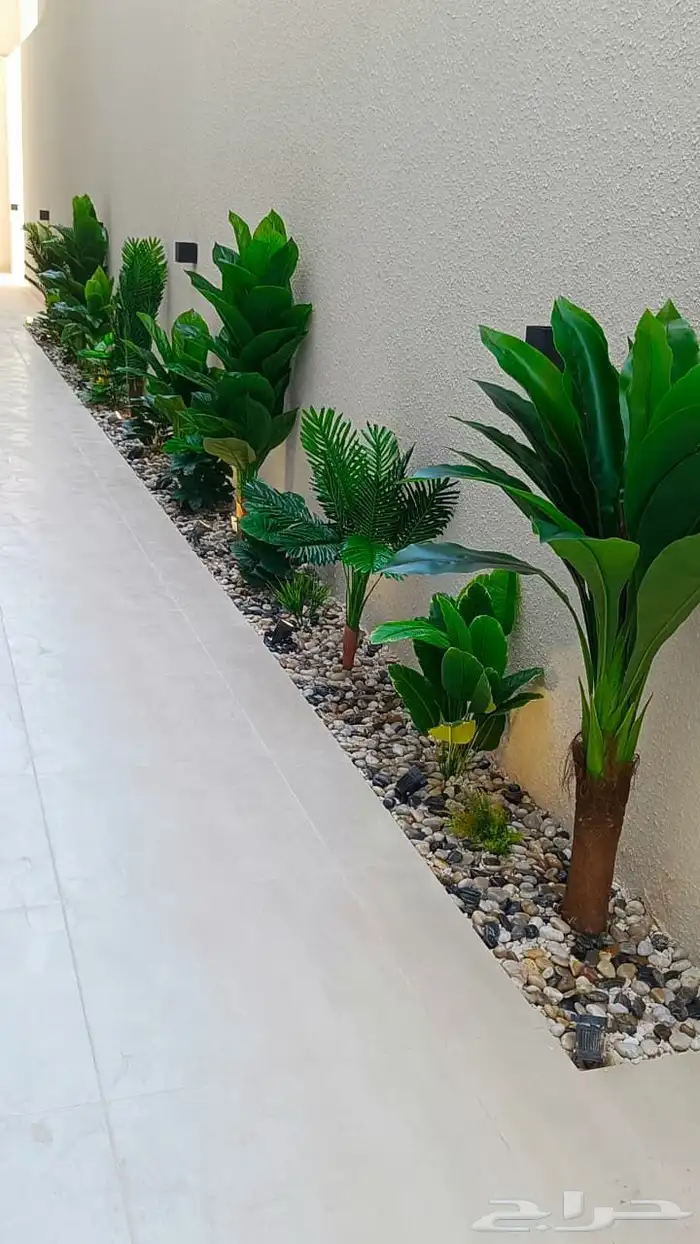 تنسيق حدايق احواض 0