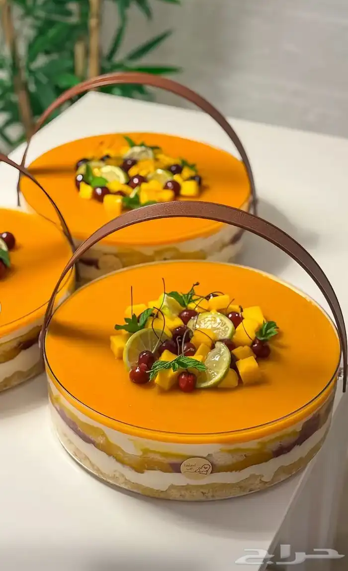 حلا ترافل مانقو حياكم 2