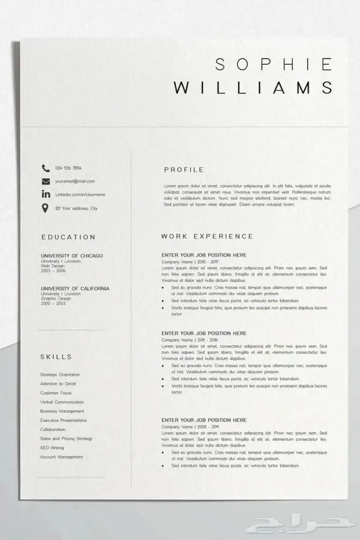 سيرة ذاتية احترافية 13