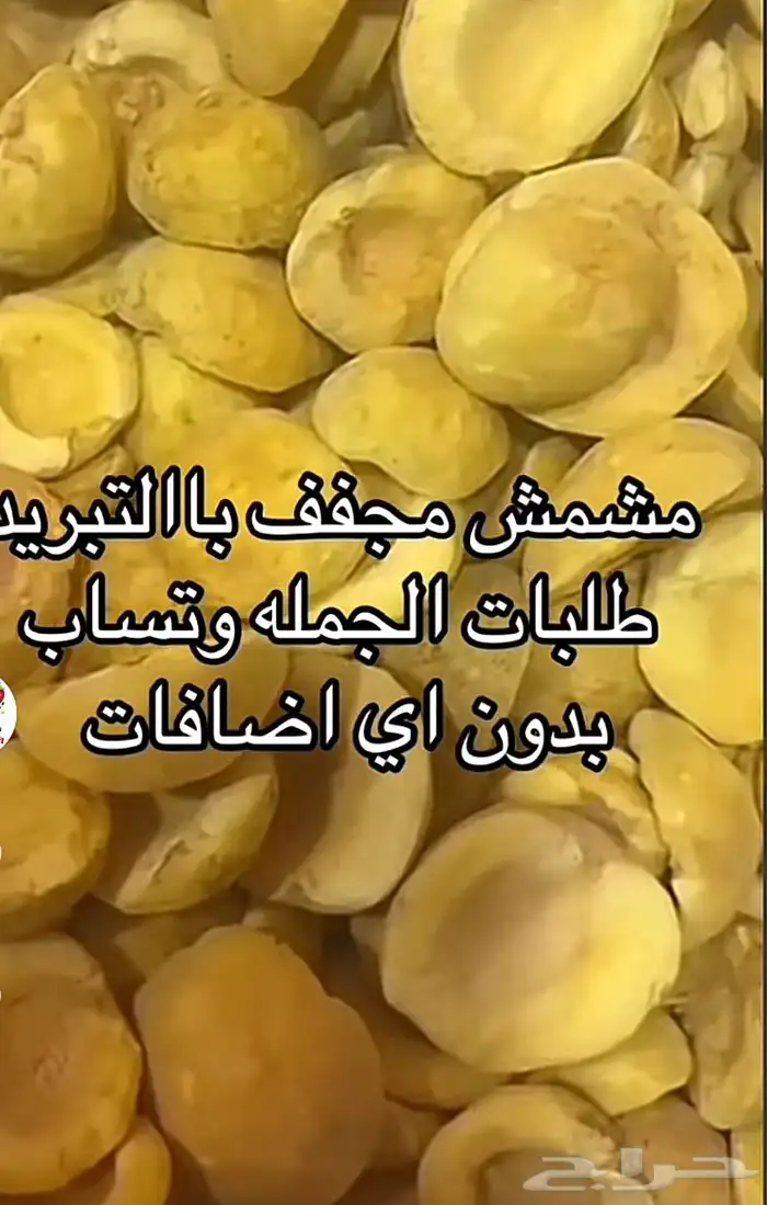 جهاز تجفيف باالتبريد 13