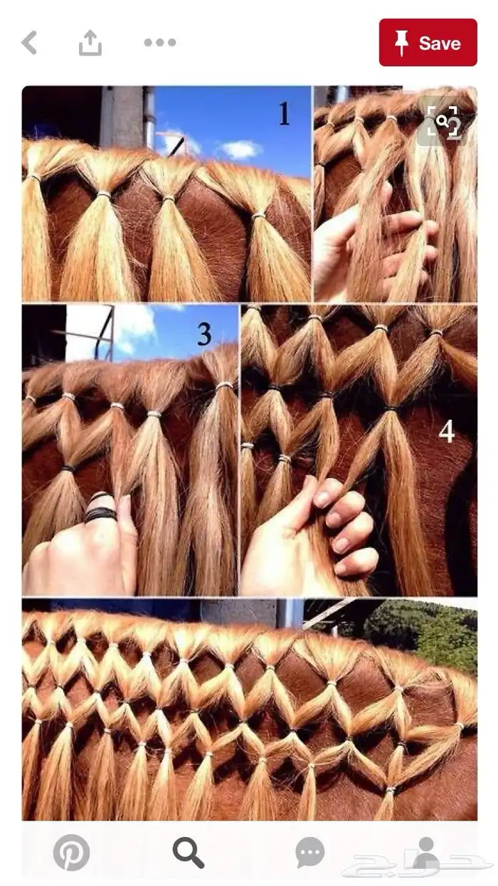 تسريح شعر خيل 8