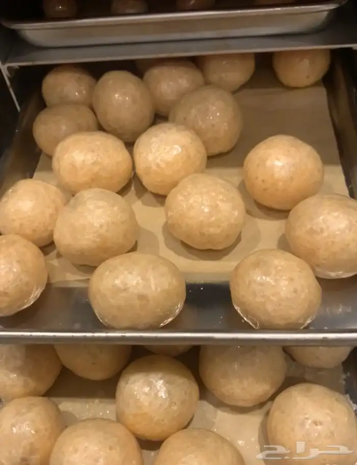 جهاز تجفيف باالتبريد 8