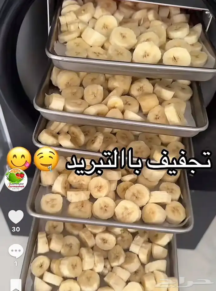 جهاز تجفيف باالتبريد 12