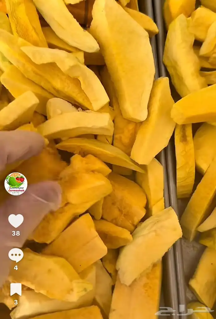 جهاز تجفيف باالتبريد 11