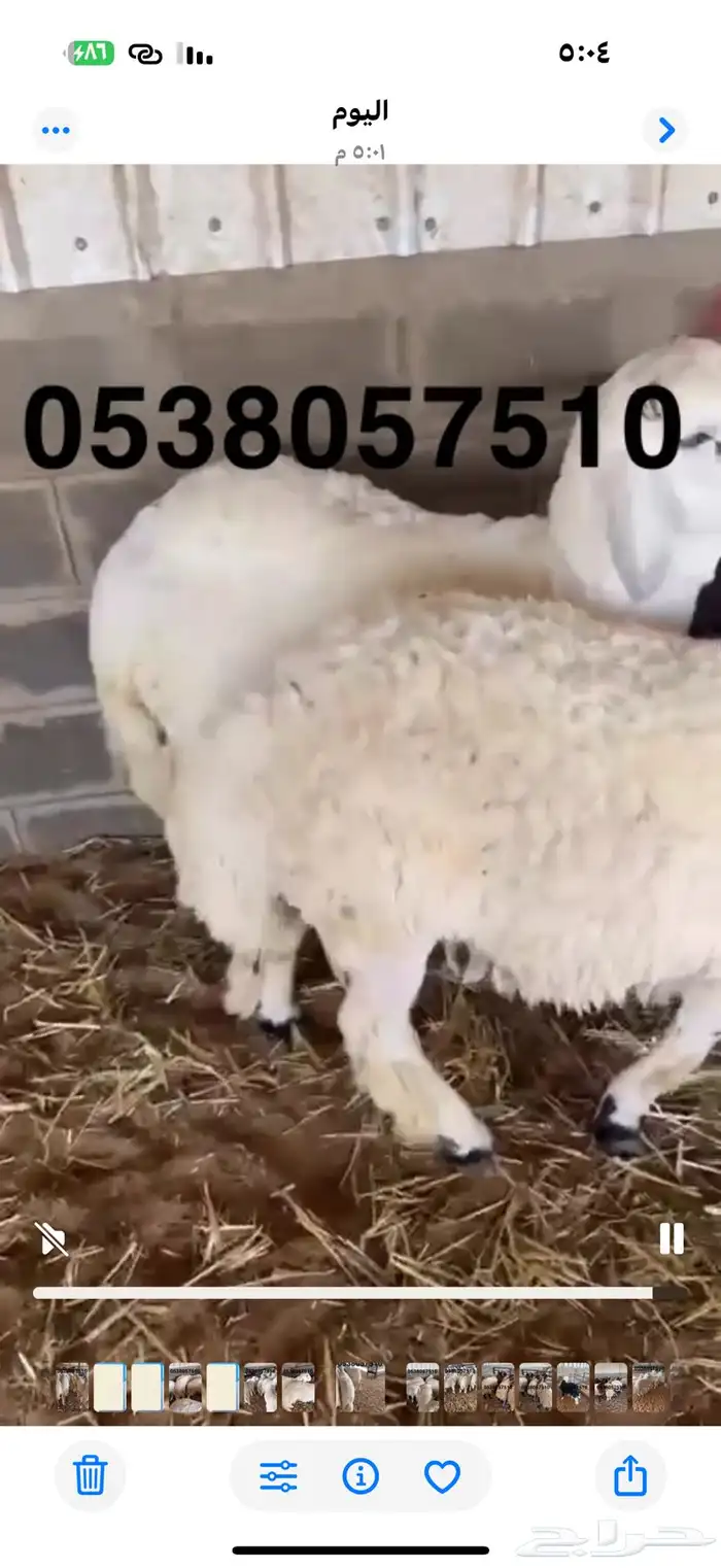 نعيمي جبر ووسط وحري جبر ووسط 20