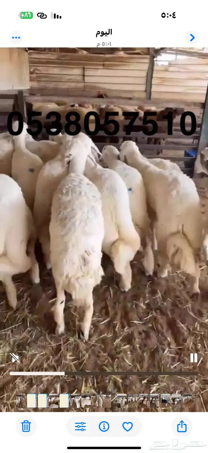 نعيمي جبر ووسط وحري جبر ووسط 18