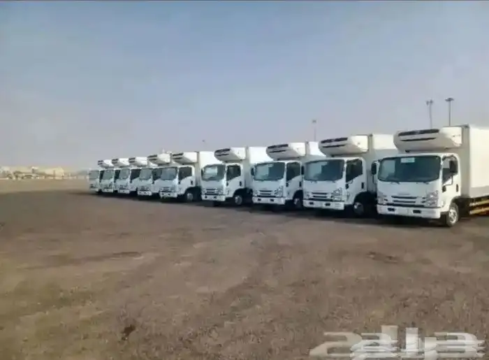 ايجار دينات ايسوزو تبريد تجميد 0