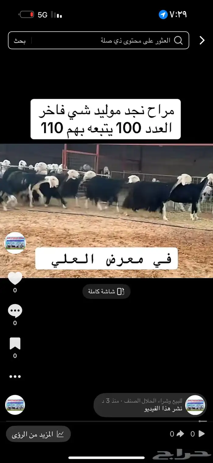 عرض بيع نجد مواليد 100تحتها 110 2