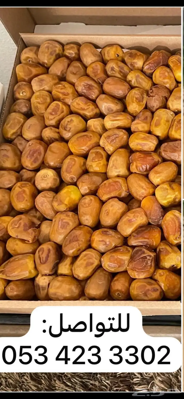تمر سكري جالكسي ومفتل ورطب ا( من المزرعة مباشرة) 0