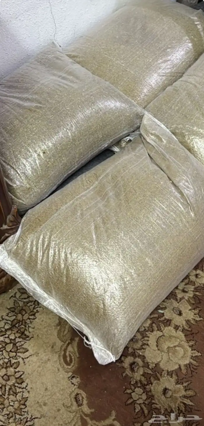 برسيم حجازي نظيف مشروط أنتاج السنة 0