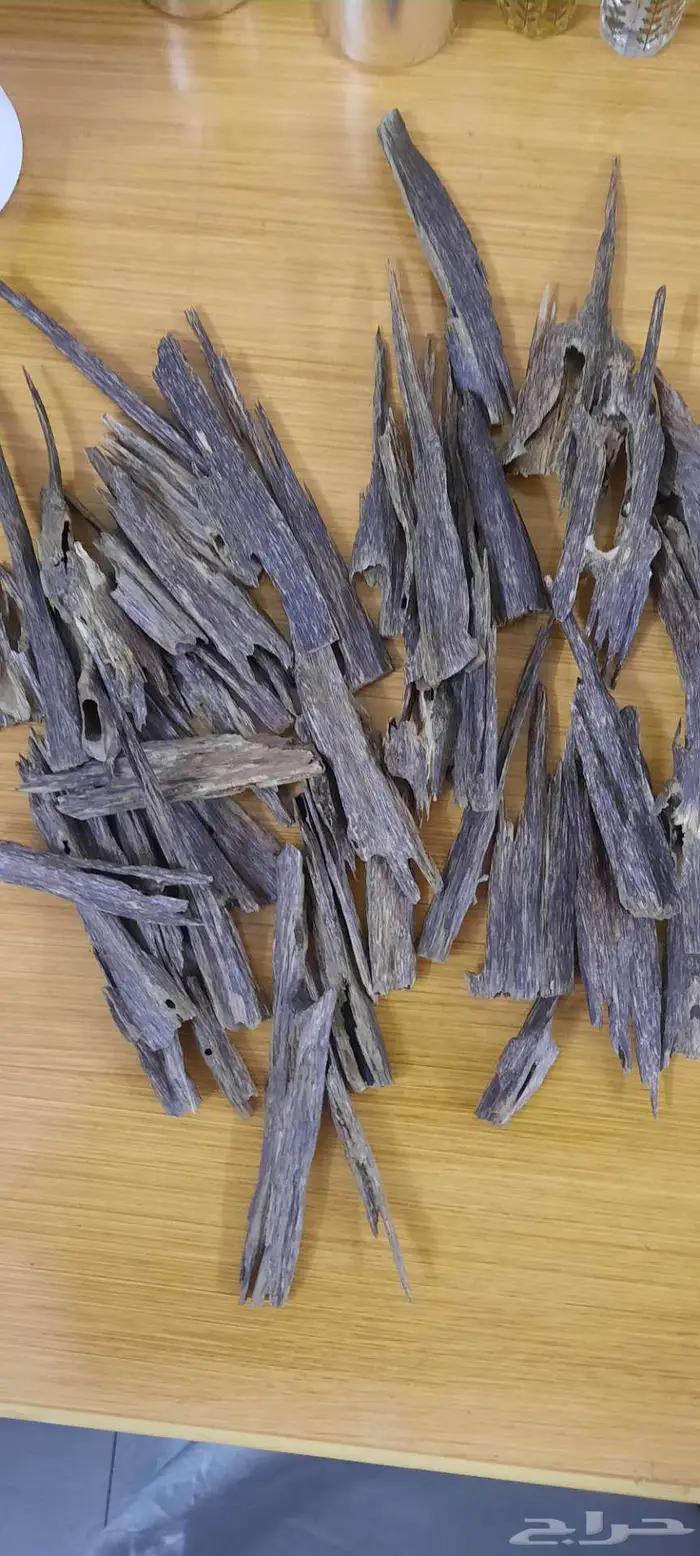 عروض جملة التجار والمتاجر 1