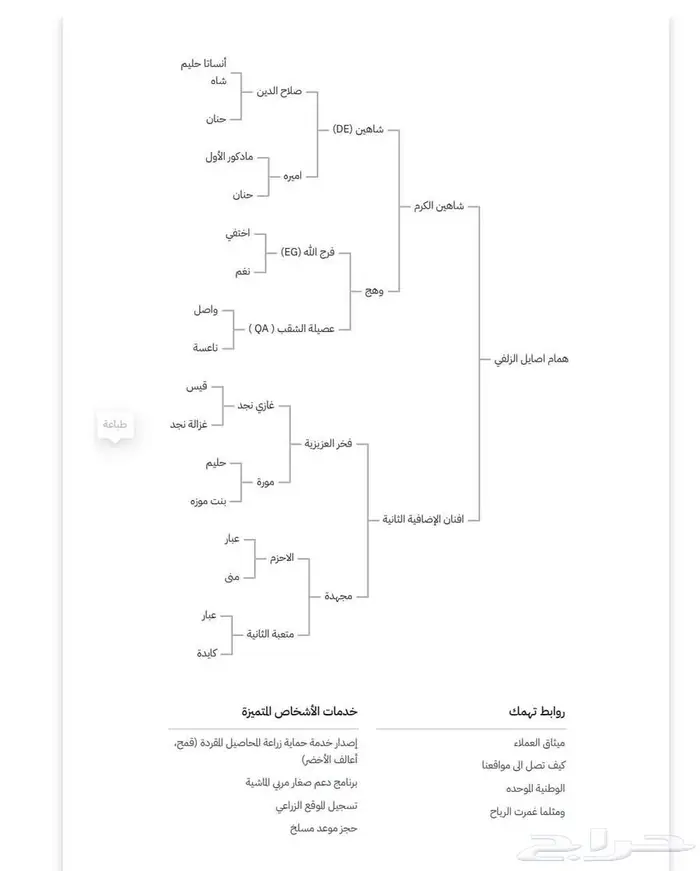حصان عربي خط سرعه 3