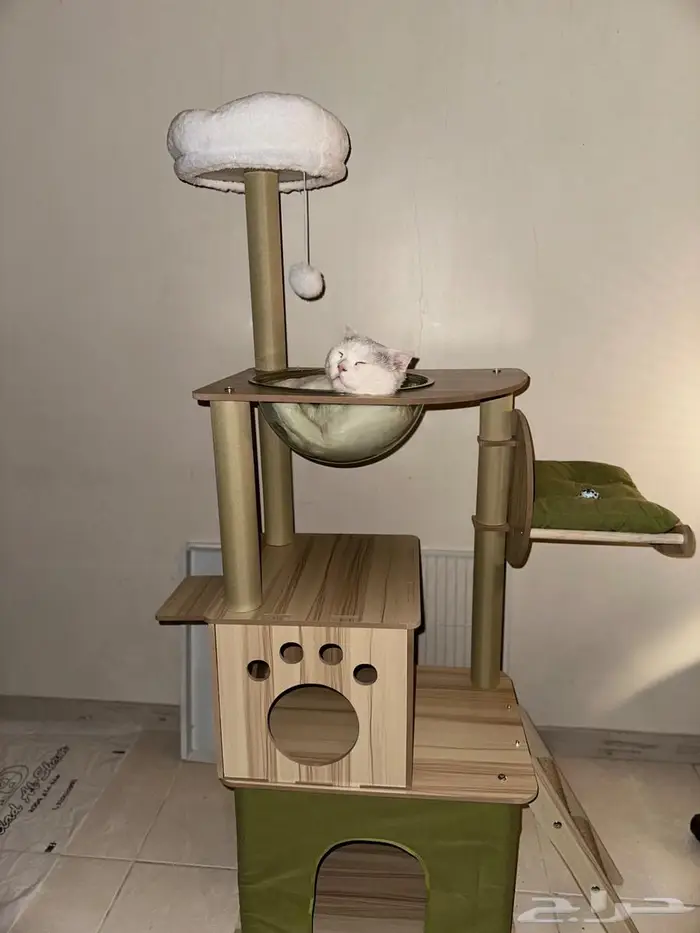 شجرة للقط جديدة new cat tree 1