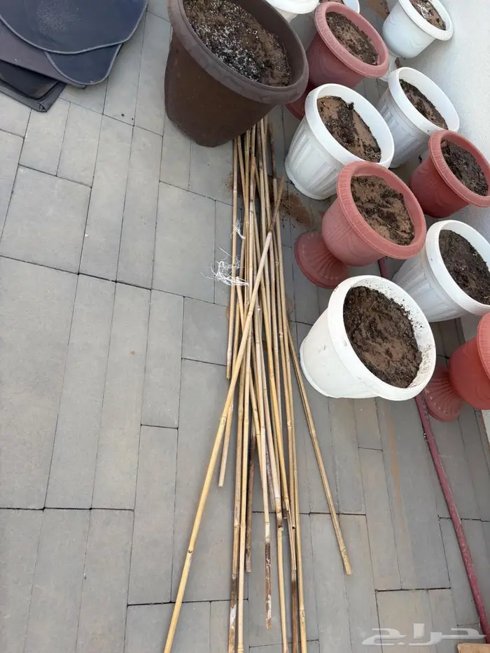 مراكن زراعية 2