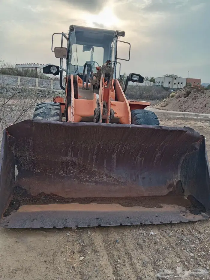 البيع شيول 0