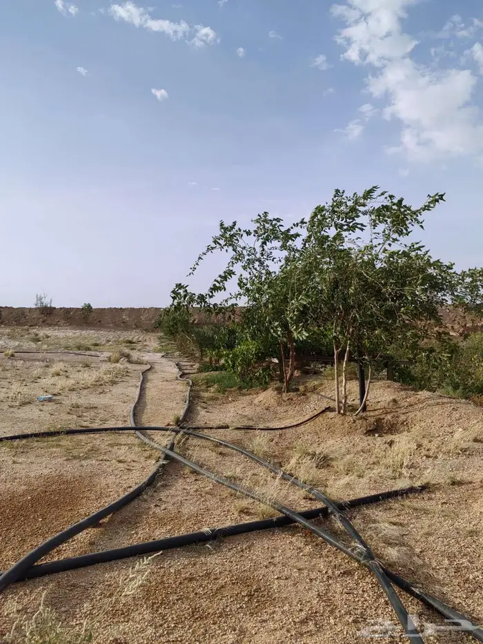 للبيع بسعر مناسب للجميع 0