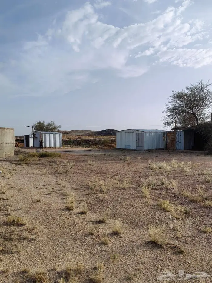 للبيع بسعر مناسب للجميع 2