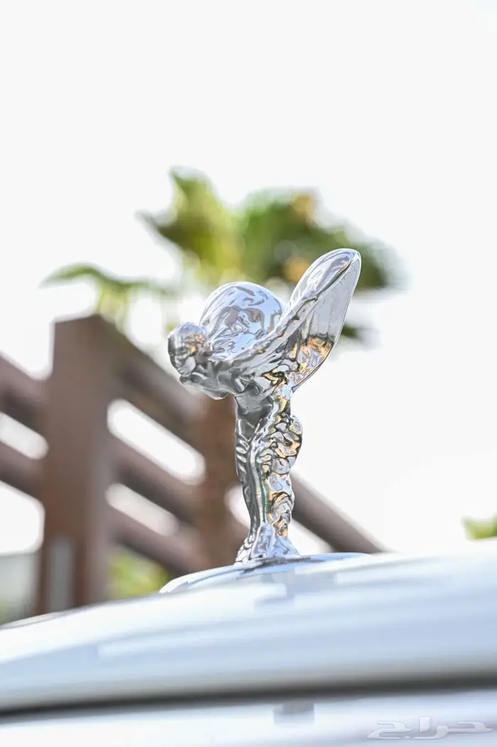 روز رايز كولينان للايجار 8