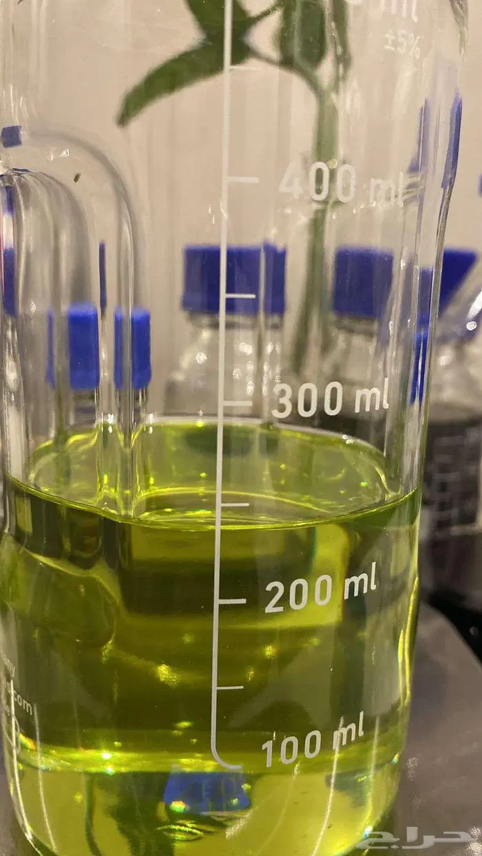 عروض جملة التجار والمتاجر 3