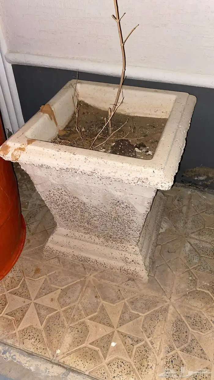 أحياض شجر 2