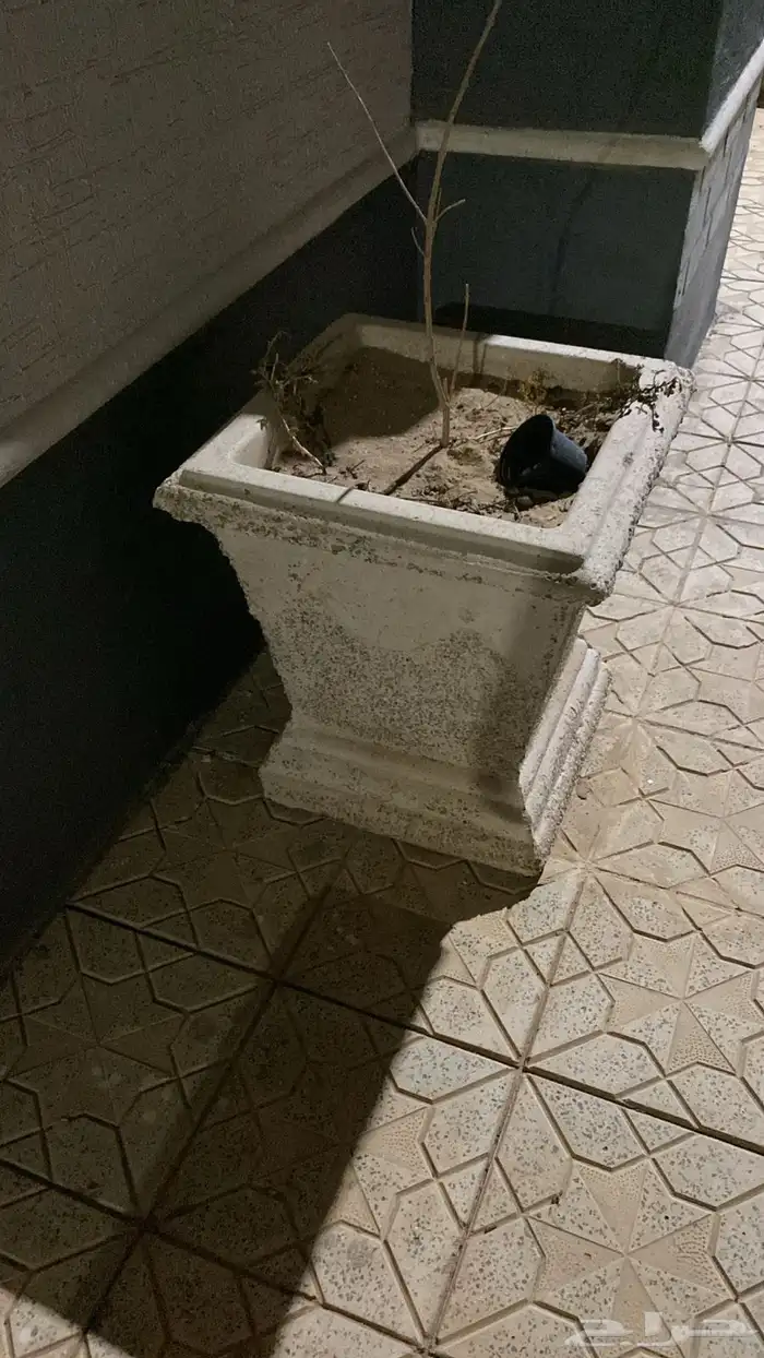 أحياض شجر 3