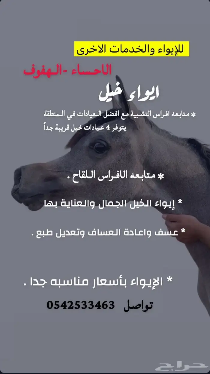 متابعة خيل التشبيه ( لدى العيادات البيطرية في الاحساء) 0