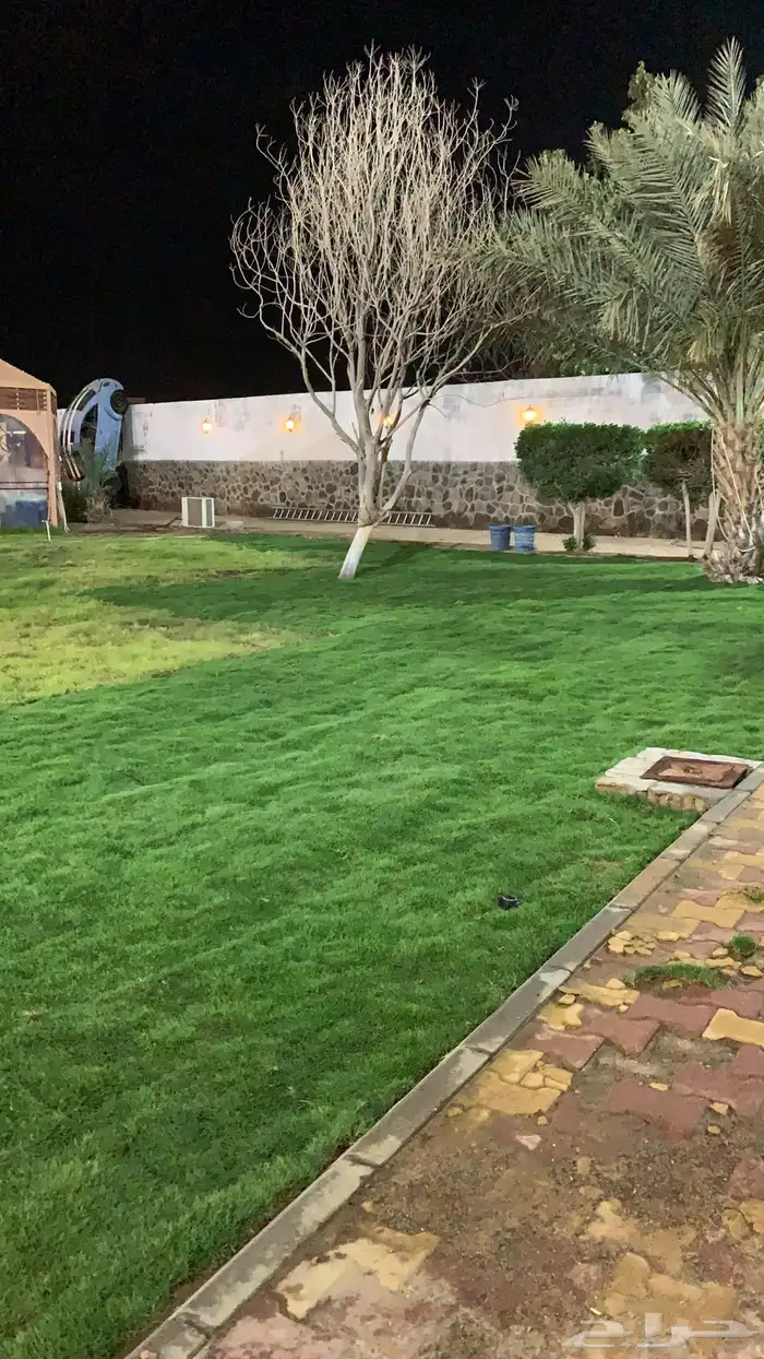 نجيله عشب طبيعي و زراعة وحدائق 42