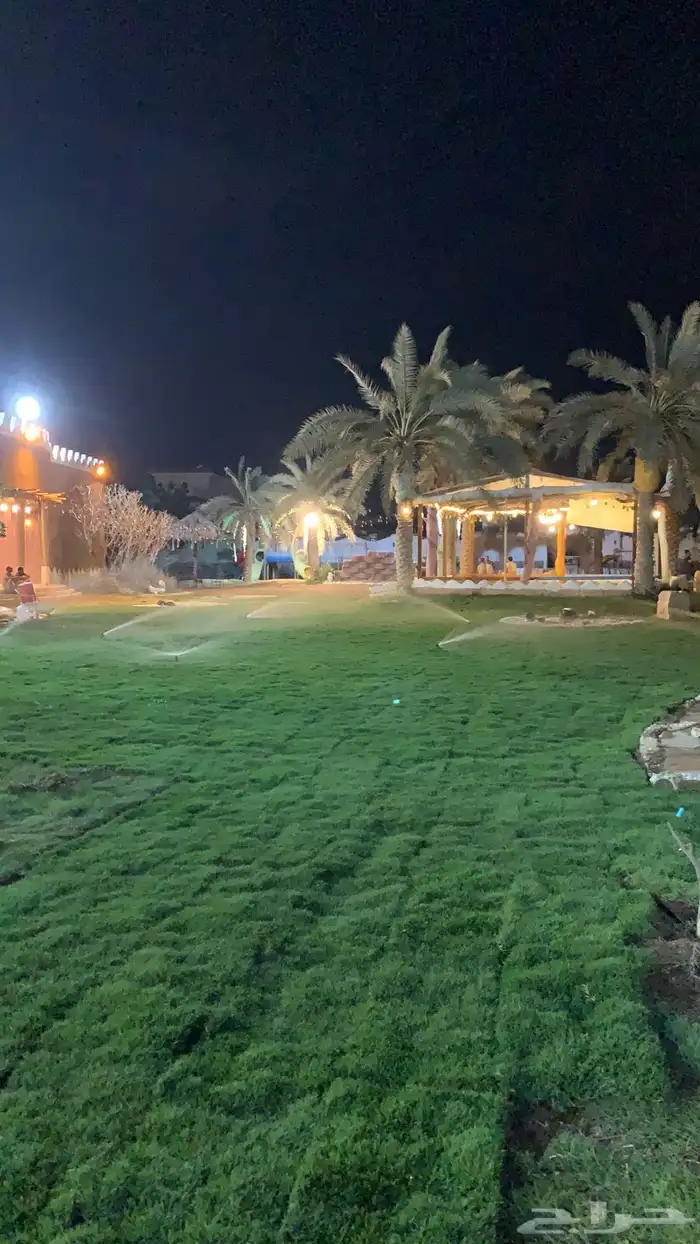 نجيله عشب طبيعي و زراعة وحدائق 45