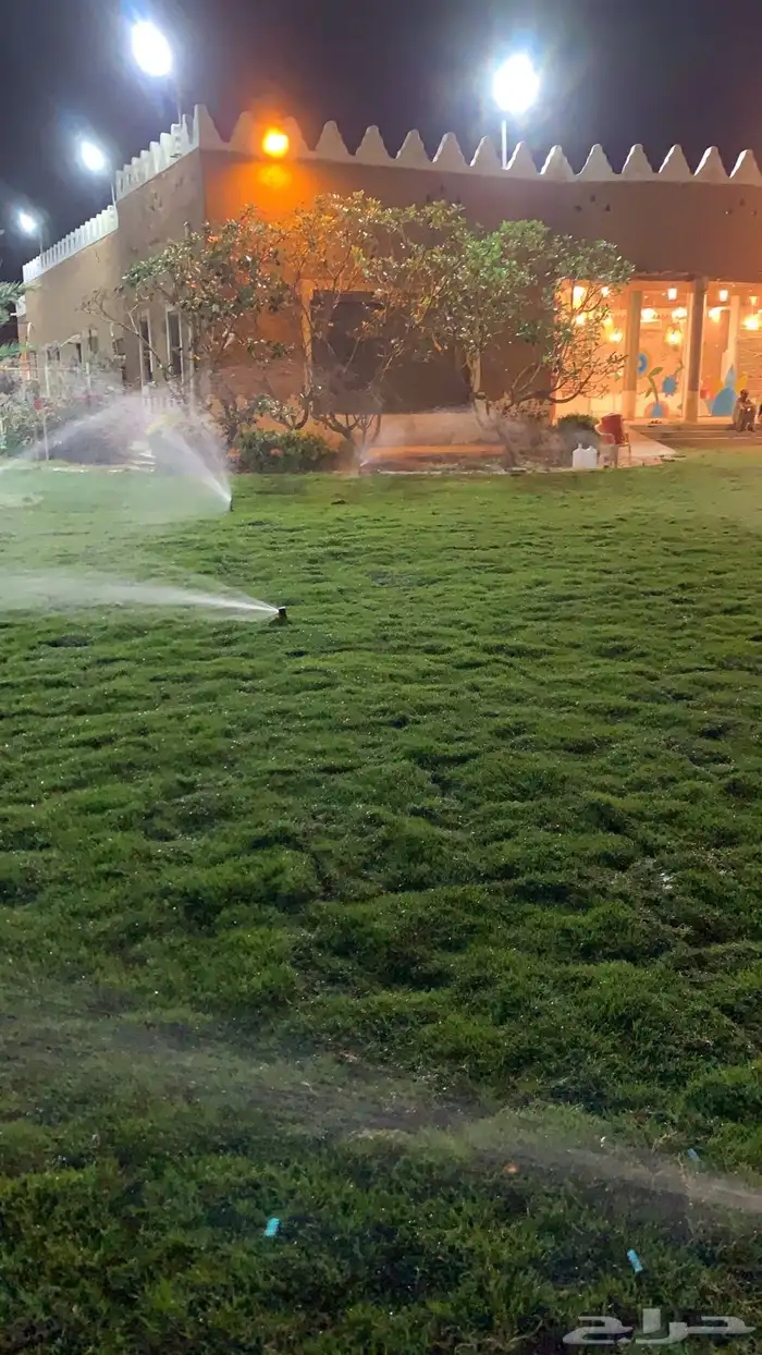 نجيله عشب طبيعي و زراعة وحدائق 43